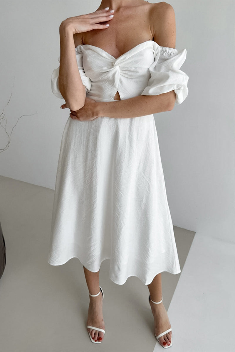 Sophisticated Dress with a Clean Classic Look
