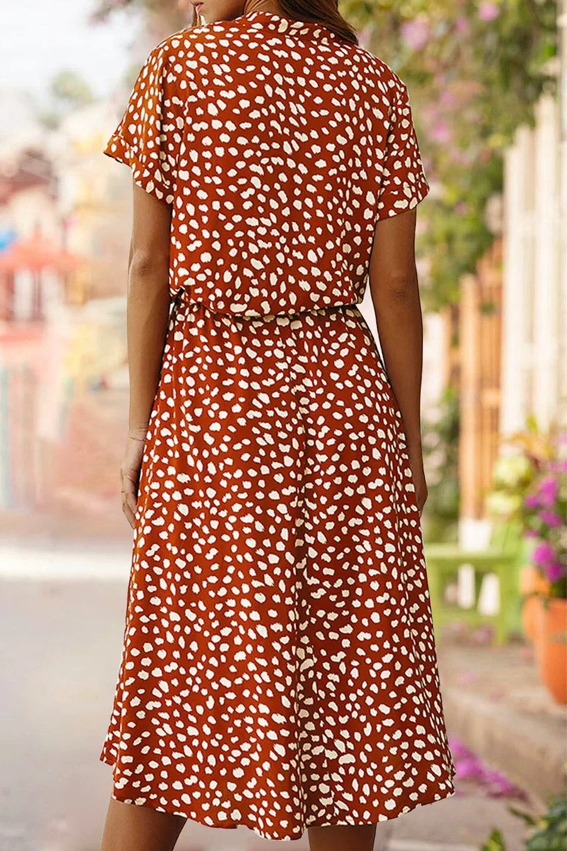 Elegantly Styled Dress for Everyday Wear
