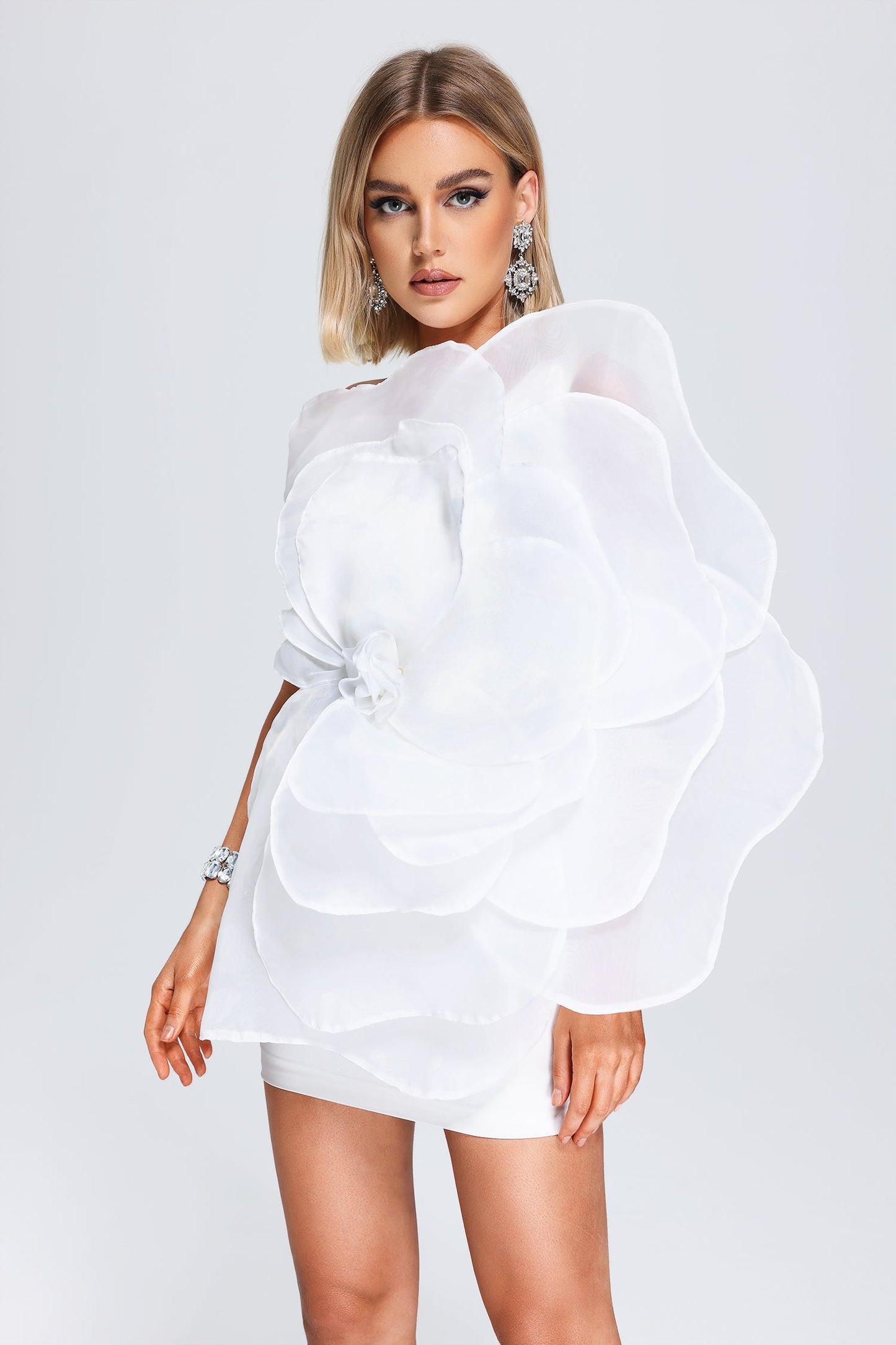 Classic Vintage & Enduringly Stylish Dress