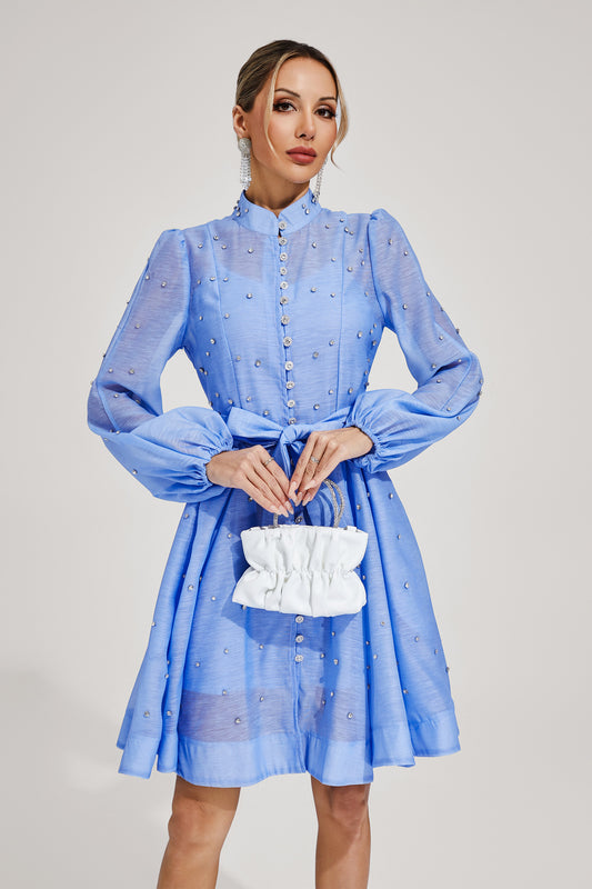 Sophisticated Dress with a Clean Classic Look