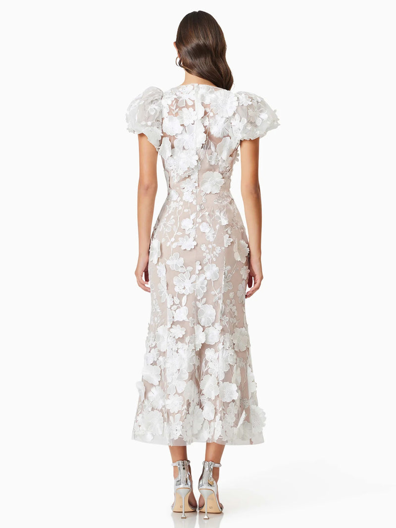 Well Tailored Dress with a Graceful Silhouette