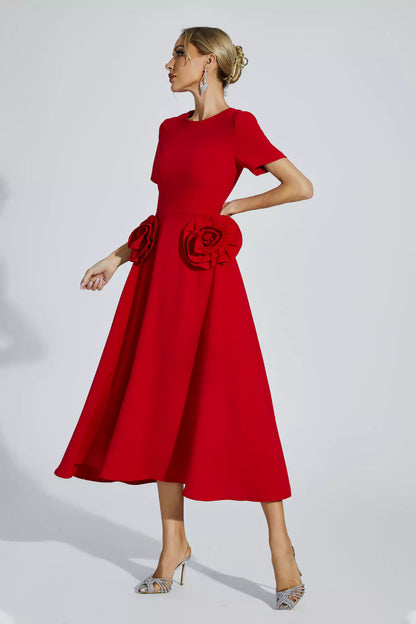 Sophisticated Dress with a Clean Classic Look