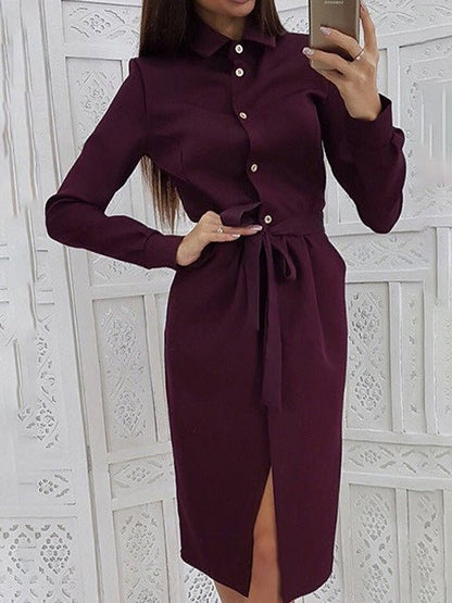 Elegantly Styled Dress for Everyday Wear
