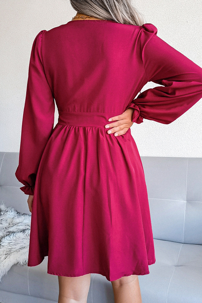 Sophisticated Dress with a Clean Classic Look