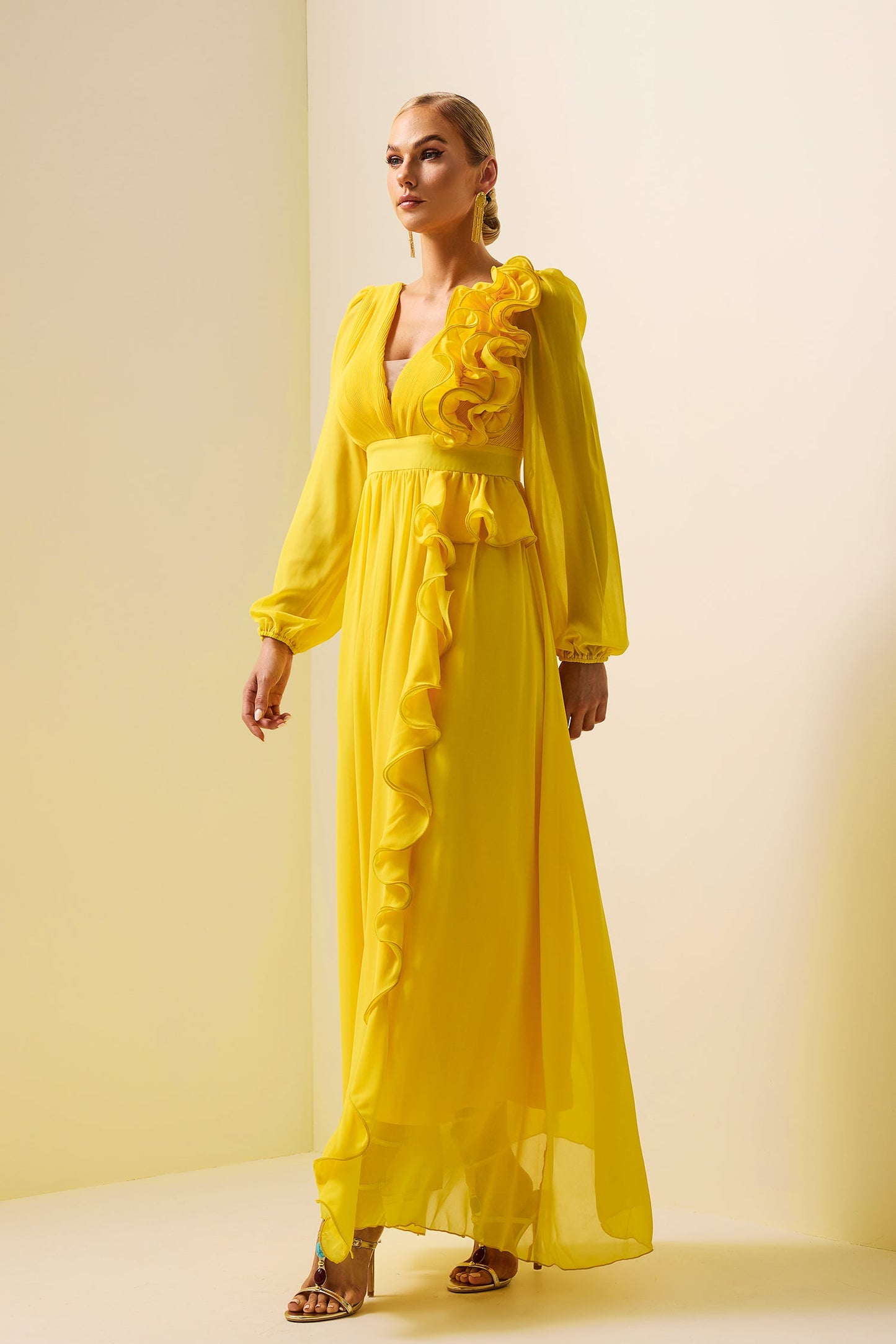 Gracefully Styled Dress for Any Occasion