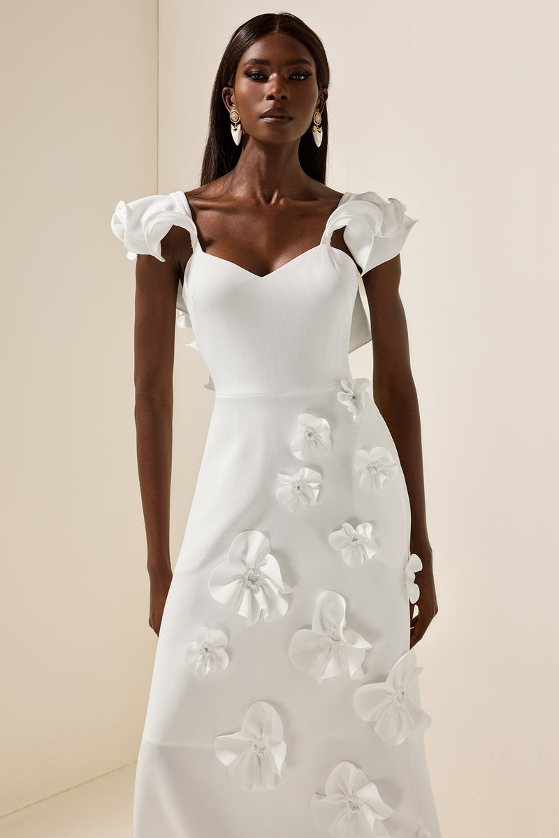 Sophisticated Dress with a Clean Classic Look
