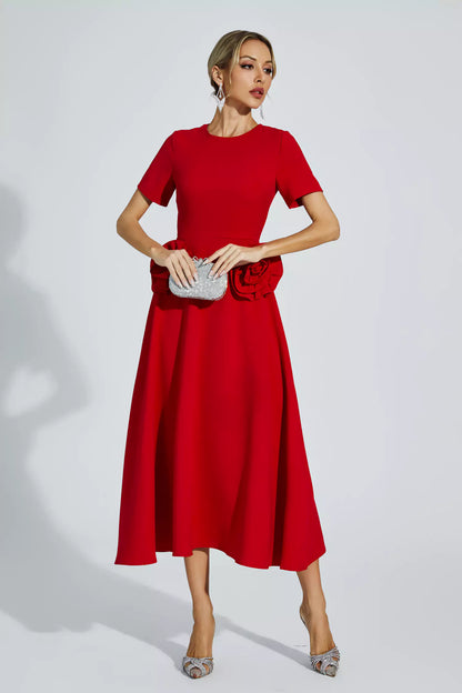 Sophisticated Dress with a Clean Classic Look