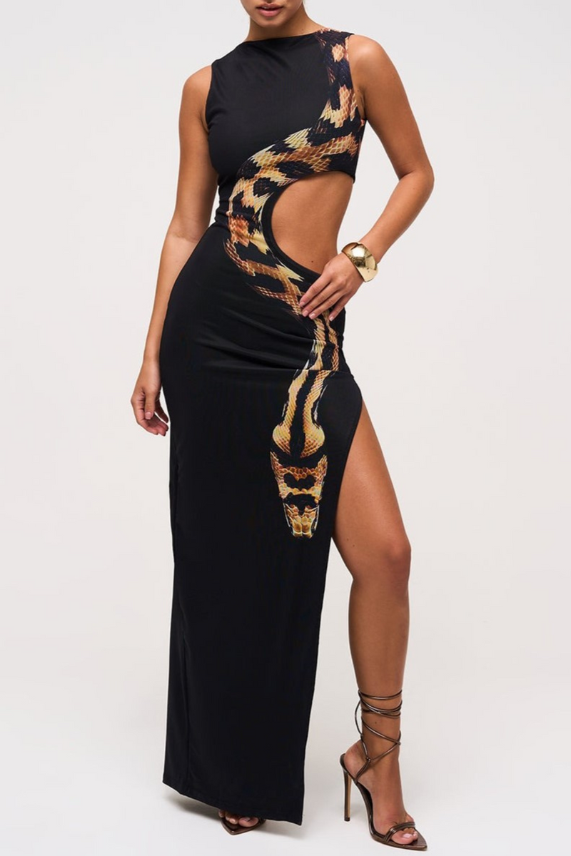 Gracefully Styled Dress for Any Occasion