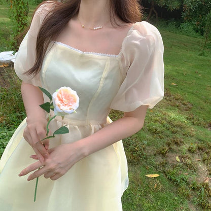 Elegantly Styled Dress for Everyday Wear