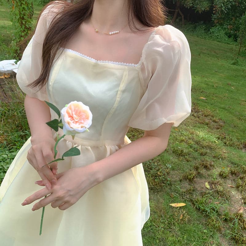 Elegantly Styled Dress for Everyday Wear