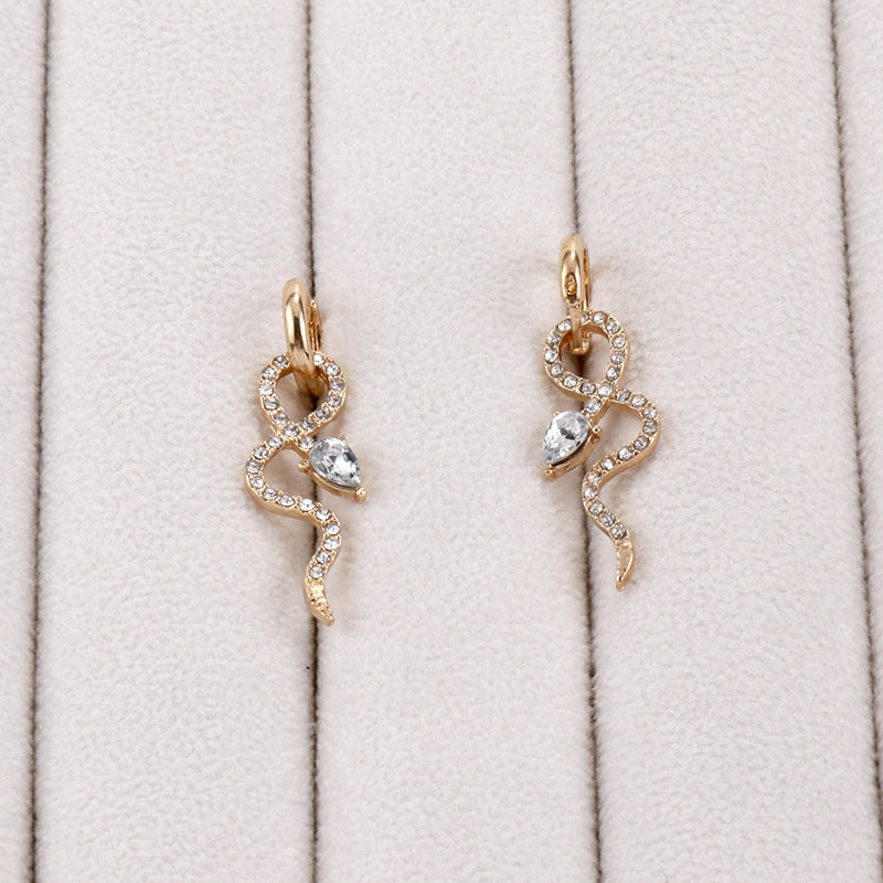 Charming Earring for Any Occasion