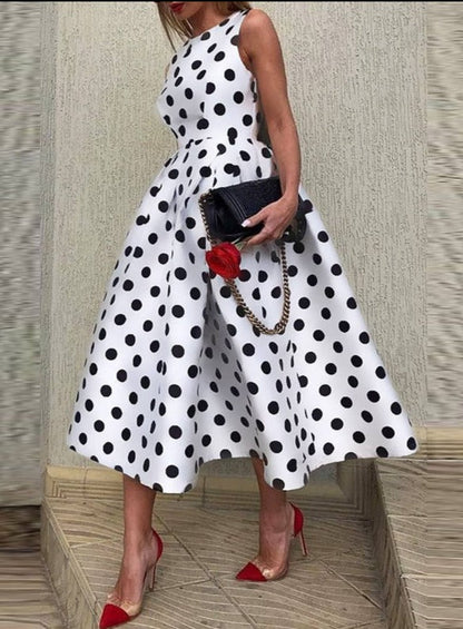 Sophisticated Dress with a Clean Classic Look