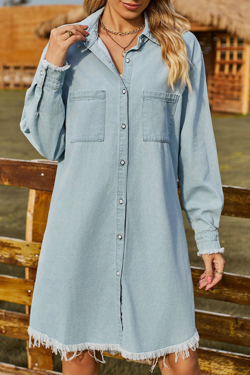 Sophisticated Dress with a Clean Classic Look