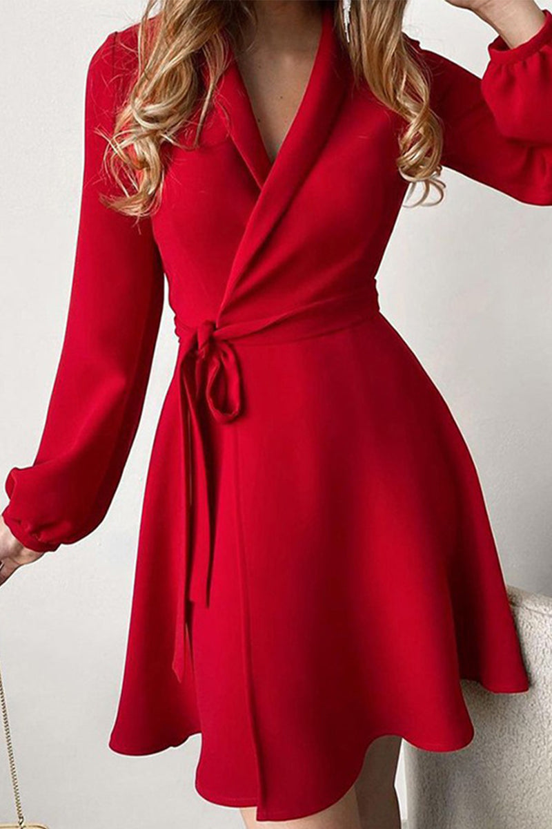 Sophisticated Dress with a Clean Classic Look