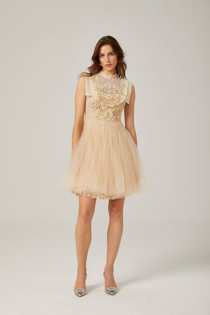 Elegantly Styled Dress for Everyday Wear
