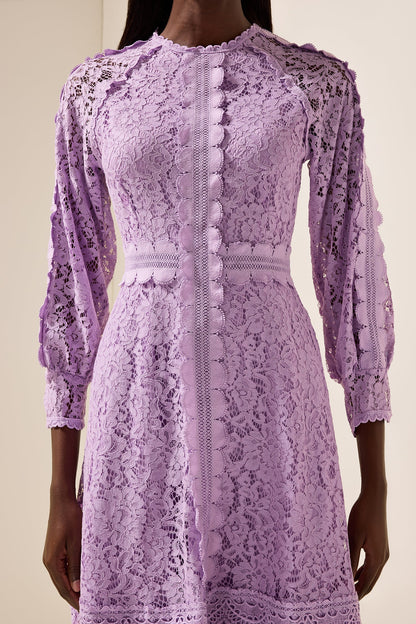 Polished Dress with an Effortless Classic Look