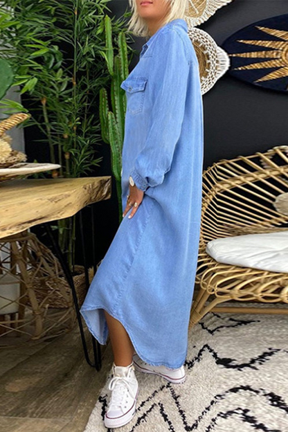Sophisticated Dress with a Clean Classic Look