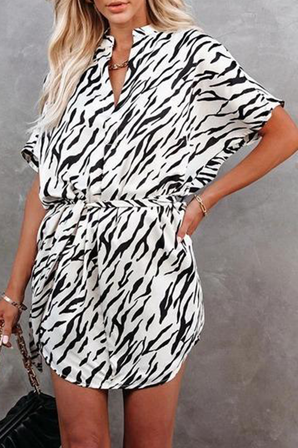 Polished Dress with an Effortless Classic Look