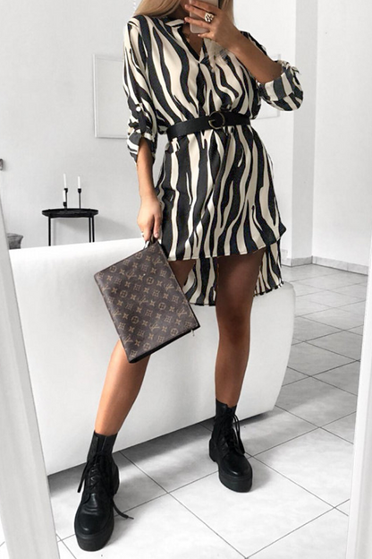 Beautifully Balanced Dress with Timeless Character
