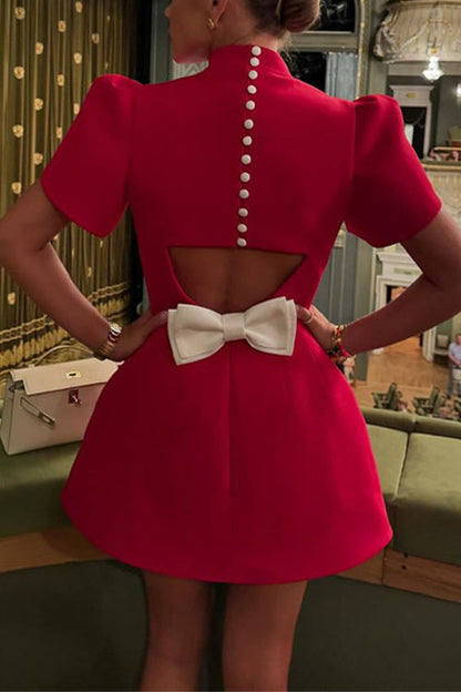 Sophisticated Dress with a Clean Classic Look