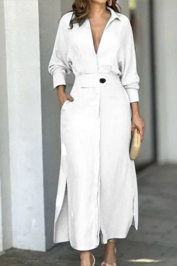 Sophisticated Dress with a Clean Classic Look