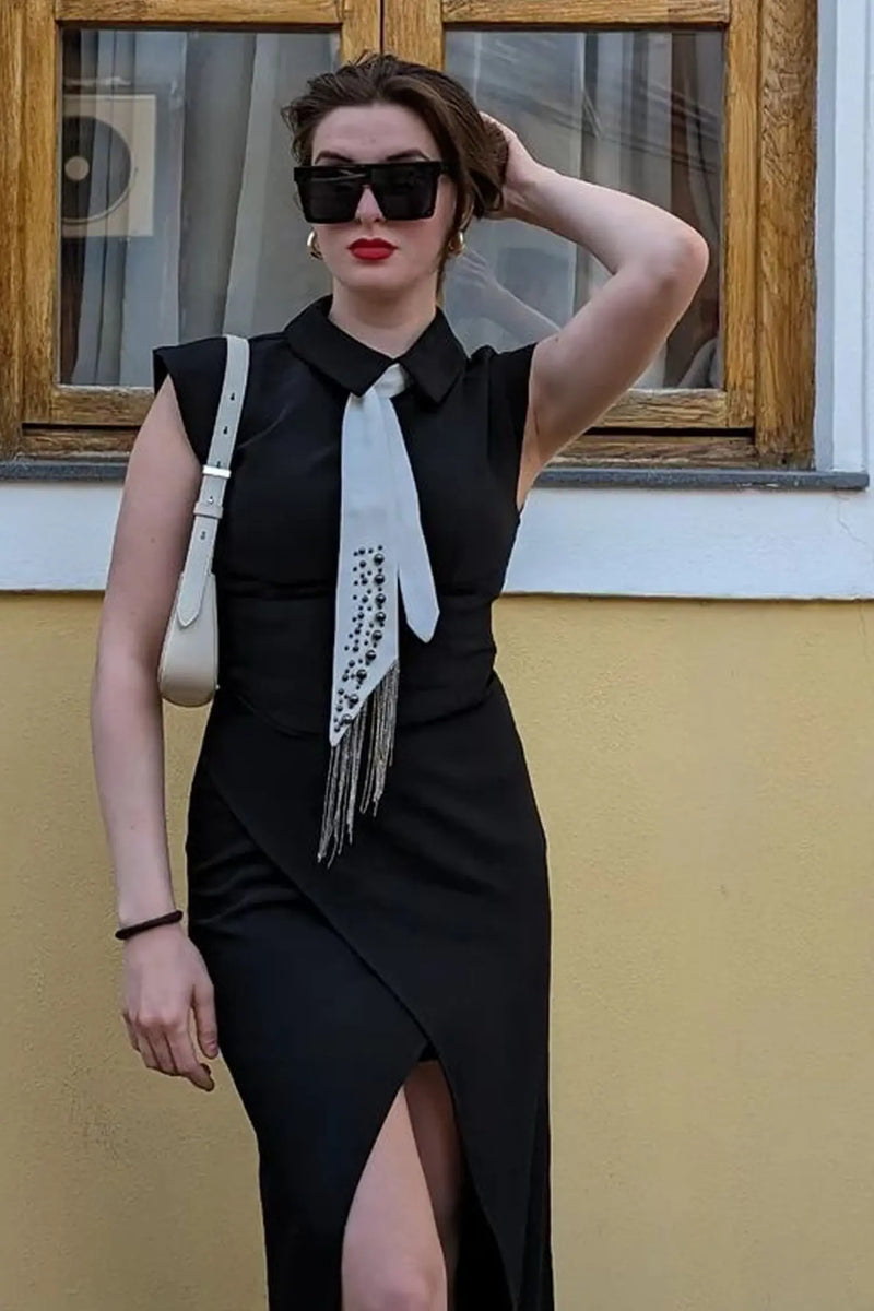 Sophisticated Dress with a Clean Classic Look