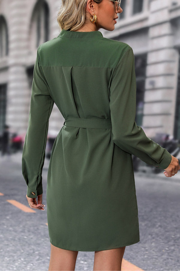 Sophisticated Dress with a Clean Classic Look