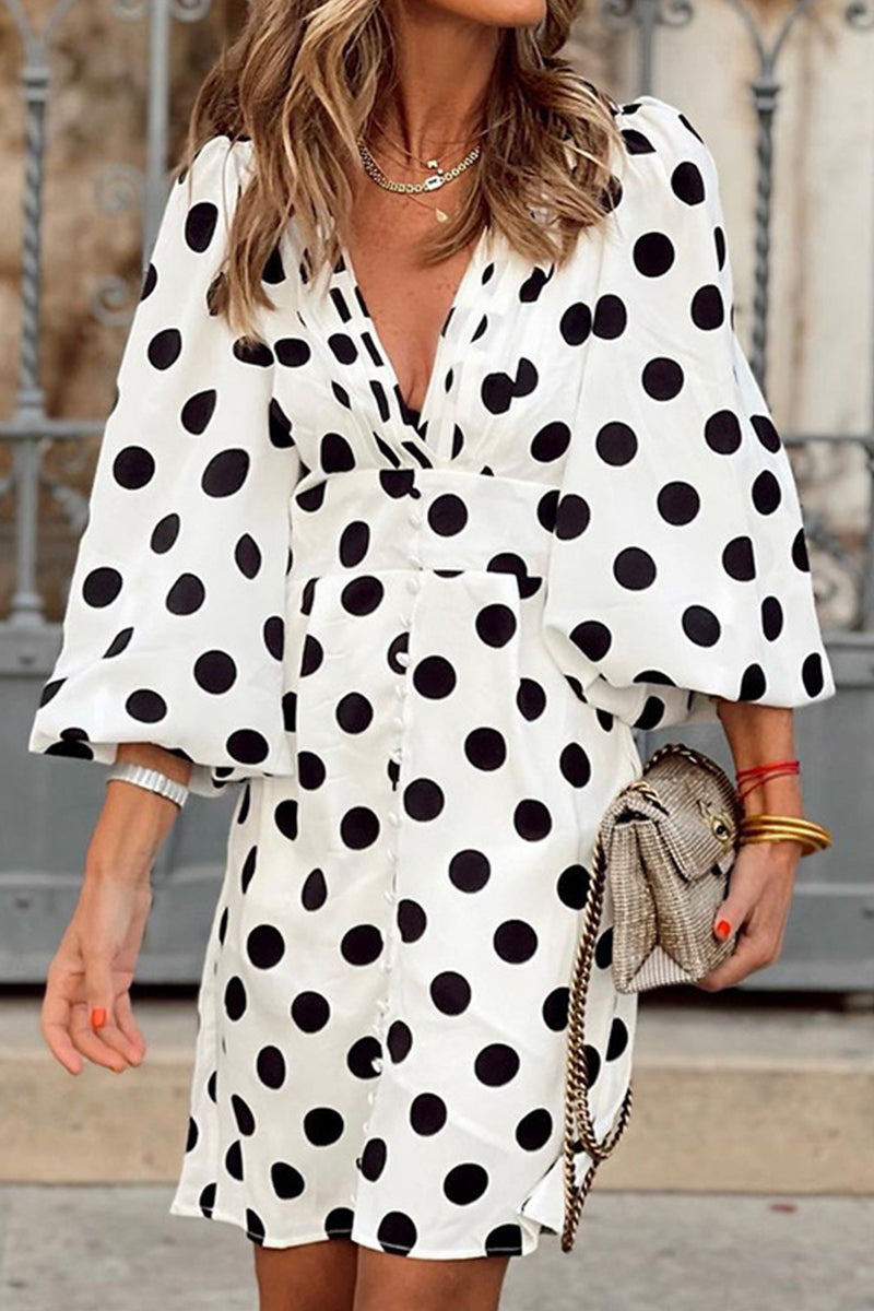 Sophisticated Dress with a Clean Classic Look