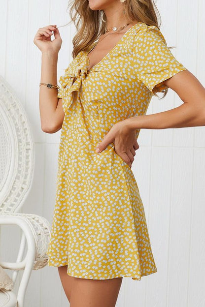 Effortlessly Elegant Dress with a Timeless Design